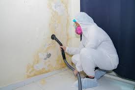 Best Attic Mold Removal in Stratford, NJ